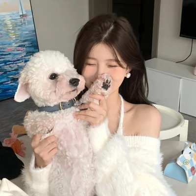 白粉飞 第三季